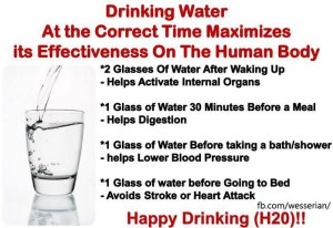 wesserian-drinking-water